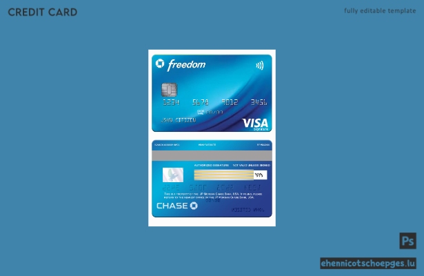 USA JP Morgan Chase Bank Freedom Visa Signature Card – Beispielvorschau